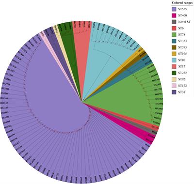 High Prevalence and Overexpression of Fosfomycin-Resistant Gene fosX in Enterococcus faecium From China